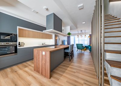 view of the kitchen of the Michalka line project